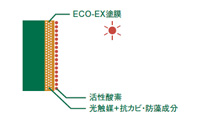 活性酸素が発生