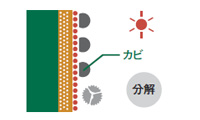 カビや藻を分解し落ちやすくする