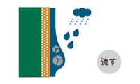 雨の力でカビや藻を洗い流す